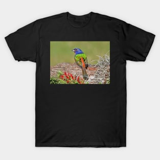 Painted Bunting Bird Photograph Notecard T-Shirt